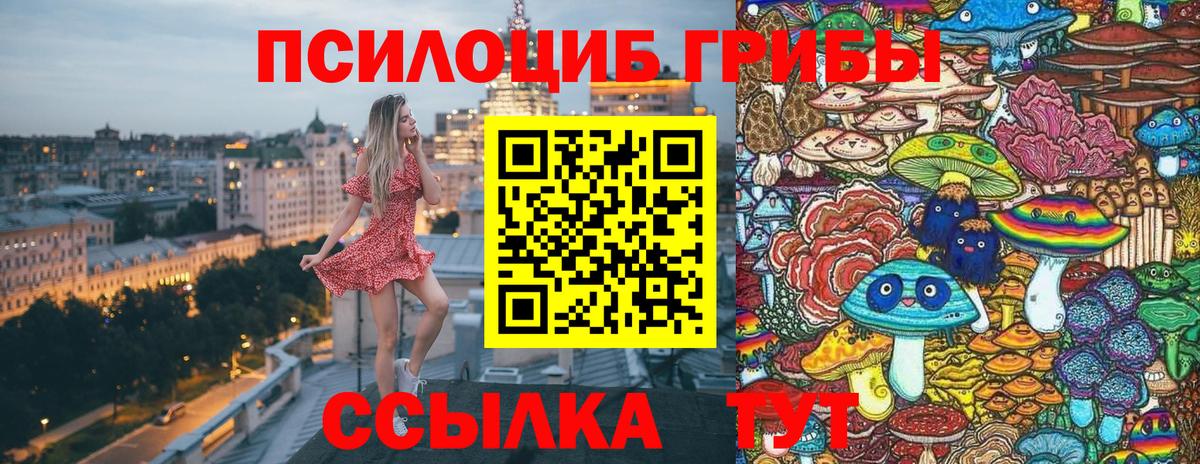 Псилоцибиновые грибы MAGIC MUSHROOMS Раменское